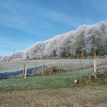 Gite En Lisiere De Foret Andaine Perrou ภายนอก รูปภาพ