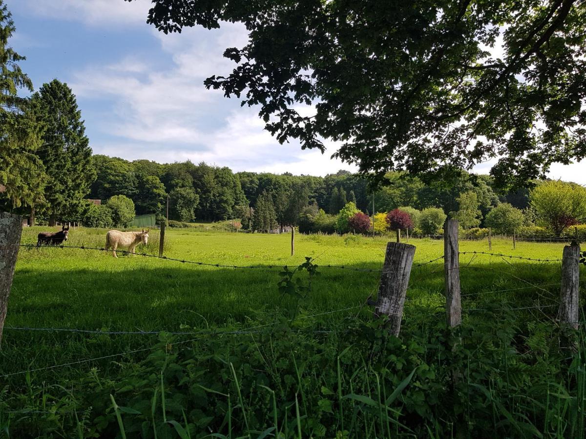 Gite En Lisiere De Foret Andaine Perrou ภายนอก รูปภาพ