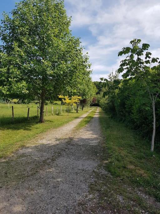 Gite En Lisiere De Foret Andaine Perrou ภายนอก รูปภาพ